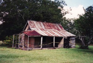 p2202_2 north pine school