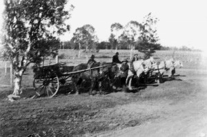 p2339_2, farmers waiting with their milk