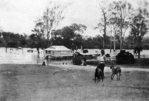 site 04 p2462_1 sweeney buildings 1931